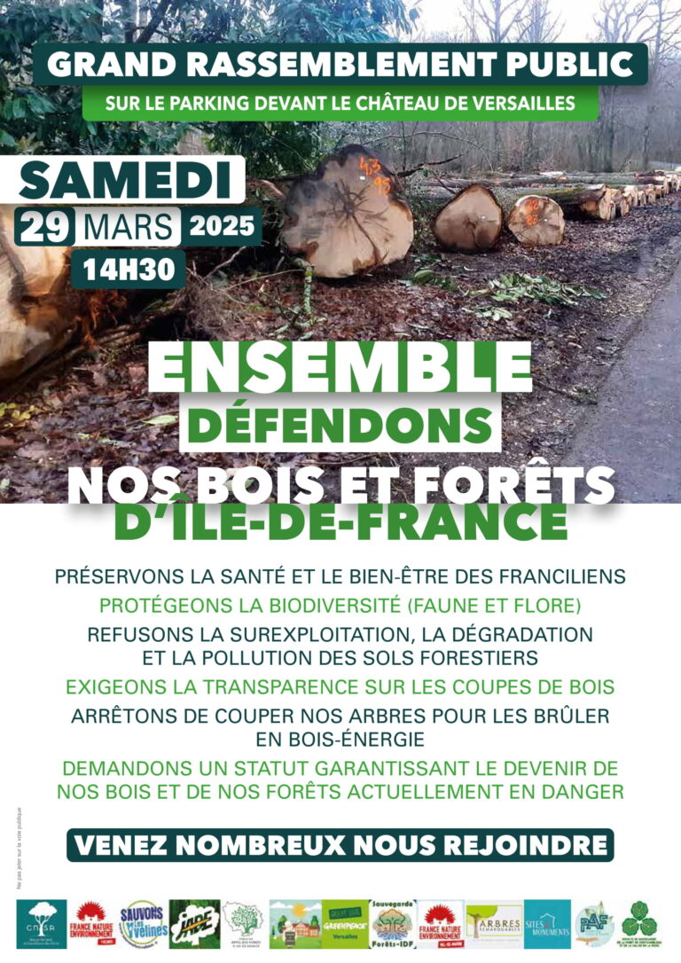 Lire la suite à propos de l’article Samedi 29 mars, rassemblement à Versailles pour les bois et forêts d’Ile-de-France