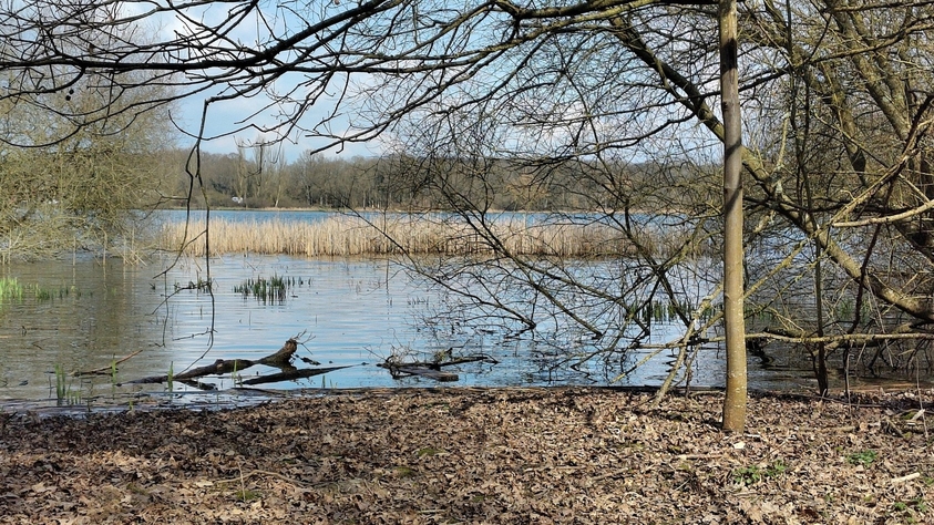 Photo de l'Ile de Loisirs de SQY